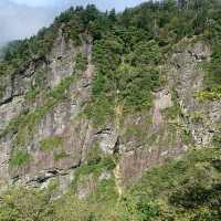 大台ヶ原