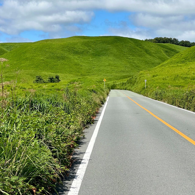岡岳公園：大自然淨土，終生難忘的美好回憶