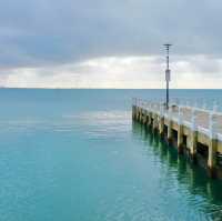 걷기만해도 마음이 차분해지는 곳, 호주 질롱의 스팅가리만 - The Pier Geelong