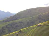 Discovering Tà Xùa, Yên Bái: A Nature Lover's Paradise