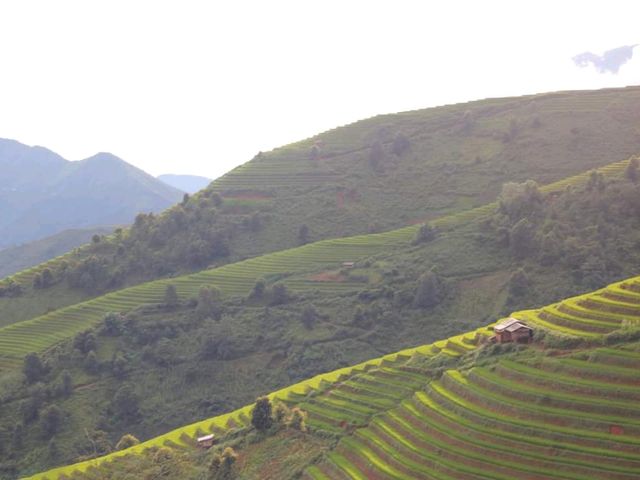 Discovering Tà Xùa, Yên Bái: A Nature Lover's Paradise