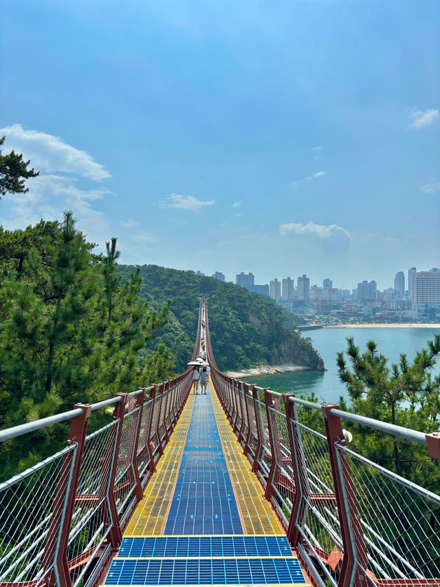 해외보다 더 이국적인 이곳은 울산 대왕암🪨🤍