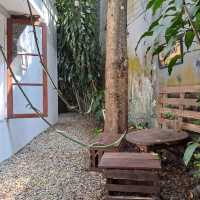 Hidden Farm Plantshop Cafe