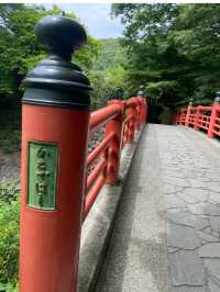 【静岡/伊豆修善寺】竹林の小径でおさんぽ🎋