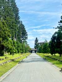 【日本東北】松島瑞嚴寺：莊嚴肅穆的三十三尊觀音像