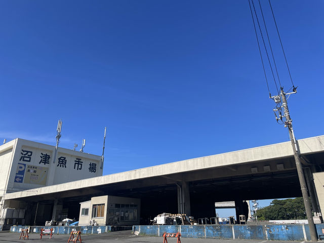 【静岡】穴場海水浴場⛱️大瀬崎