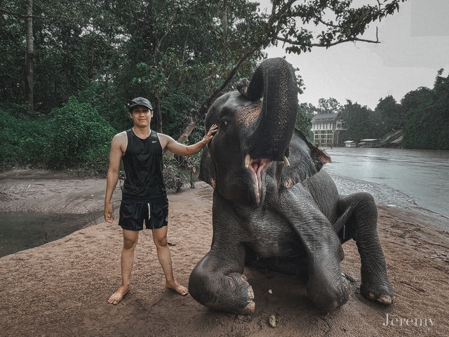 รีวิว ปางช้างไทรโยค 🐘 (เล่นน้ำกับช้าง) รีวิว ปางช้างไทรโยค 🐘 (เล่นน้ำกับช้าง)