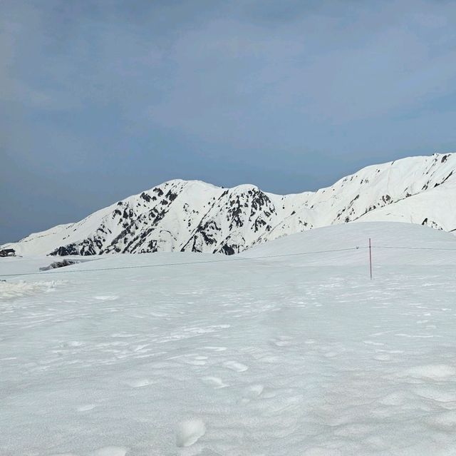 立山室堂雪之大谷，壯觀雪壁與藍天交織的冬日奇景。