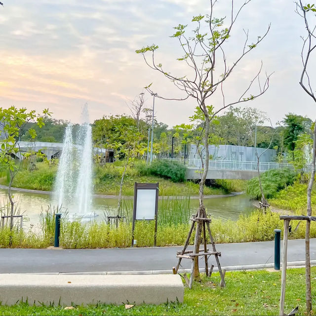 แลนด์มาร์คเปิดใหม่ ย่านจตุจักร 🐦‍⬛🌳