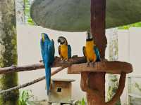 Langkawi Wildlife Park