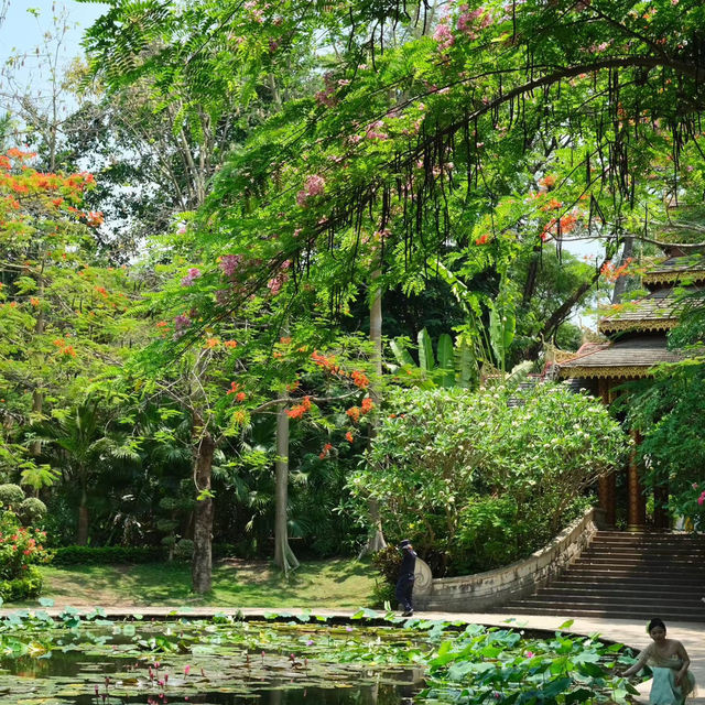 「廊曼寺🙏🏻金光閃耀✨寧靜祈福」