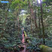 🇲🇾 Lepoh Waterfall: Your Next Forest Adventure!" 