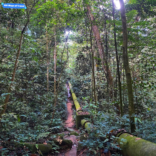 🇲🇾 Lepoh Waterfall: Your Next Forest Adventure!" 