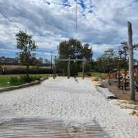 Birdwatcher’s Paradise in the Heart of the City