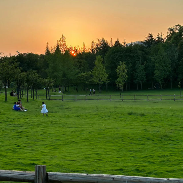 Garth Park：綠油油的自然天堂與迷人夕陽🌳🌅✨