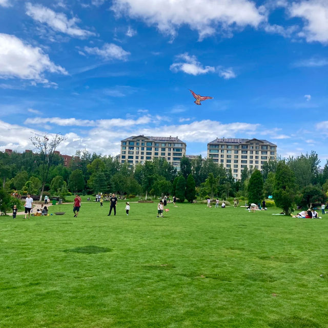 南丫公園：鳥語花香的城市綠地🌸🐦🌳