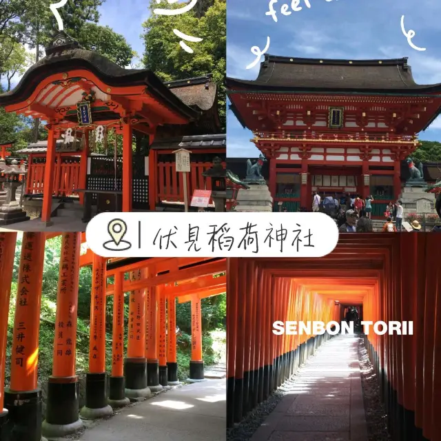 大阪：千本鳥居神秘世界的道路
