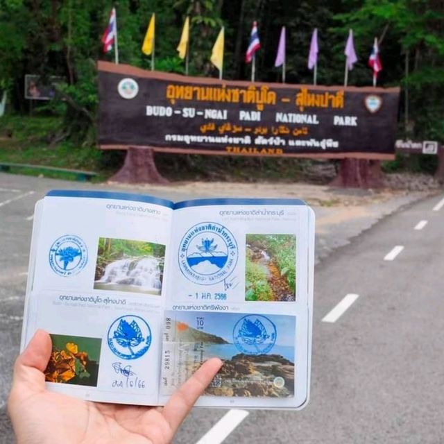 ตะลุยสุไหงปาดี