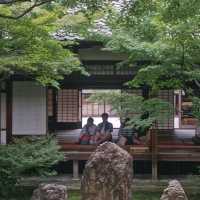 西園院：靜謐美麗庭園 🍃⛩️
