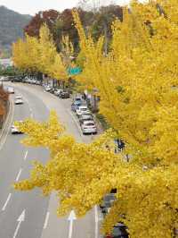 Jeonju in autumn