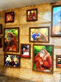 Outdoor Adventure at Singapore Zoo