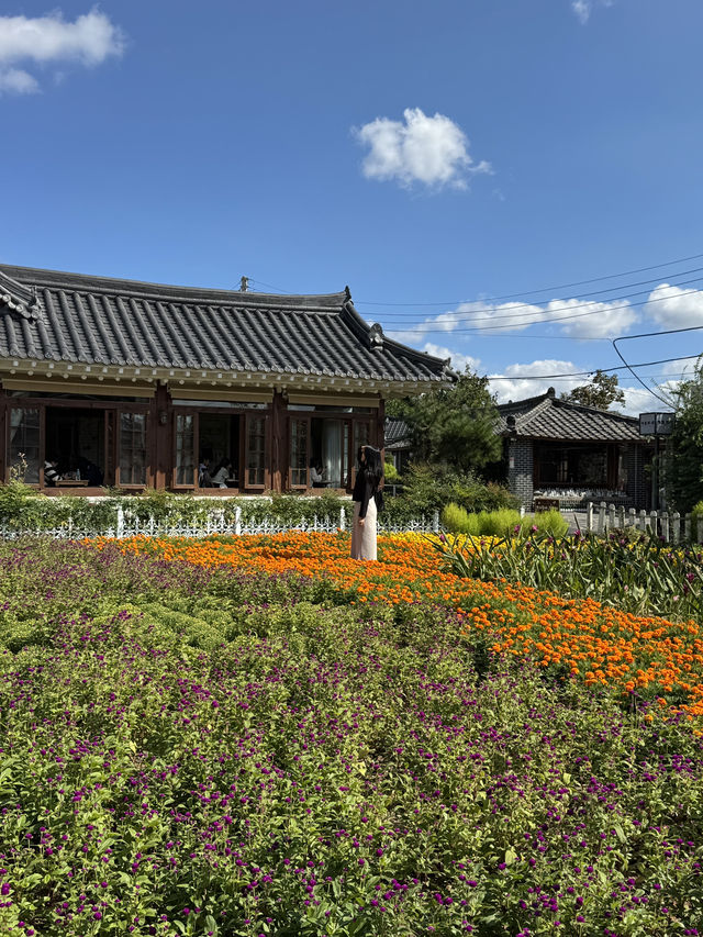 경주 가을 핫플 추천!!! 가을 꽃 잔뜩 만나는 정원
