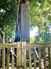 【茨城県】日本武尊を祀る最も歴史ある神社