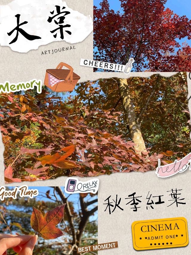 【香港大棠】紅葉季節，多個打卡點