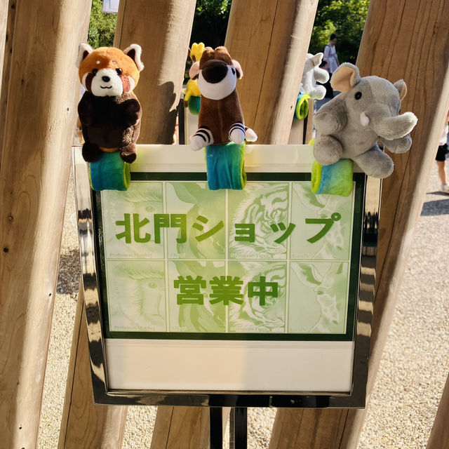 【横浜】よこはま動物園ZOORASIA - たくさんの動物が見られる国内最大級の動物園 -