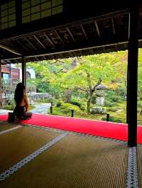 【京都/紅葉スポット】お部屋の中から見る中庭と枯山水が見事なお寺🍂🌾