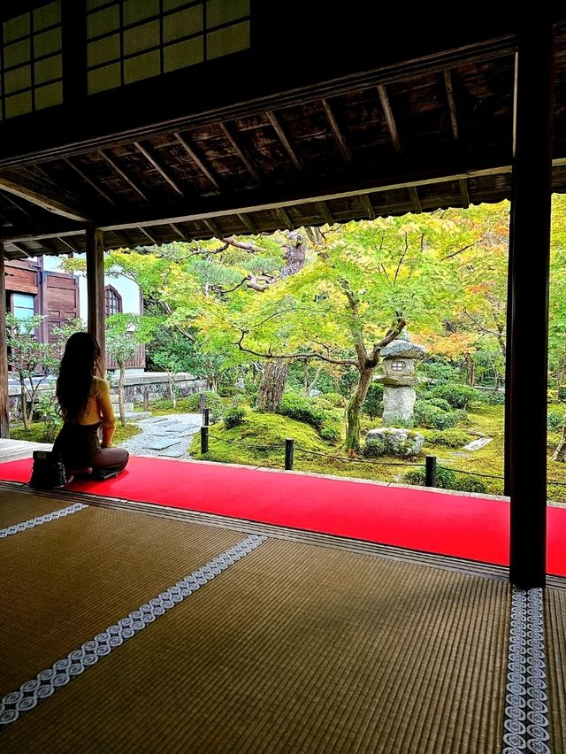 【京都/紅葉スポット】お部屋の中から見る中庭と枯山水が見事なお寺🍂🌾