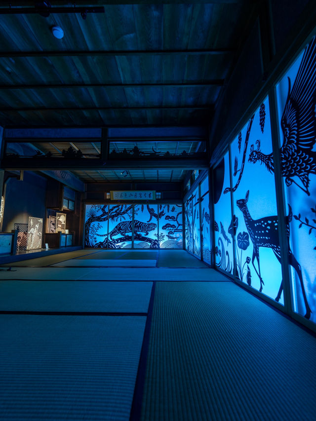期間限定🦋💙ྀིいまだけ青く照らされるお寺 幻想的な青岸寺🐯♡光明の灯り