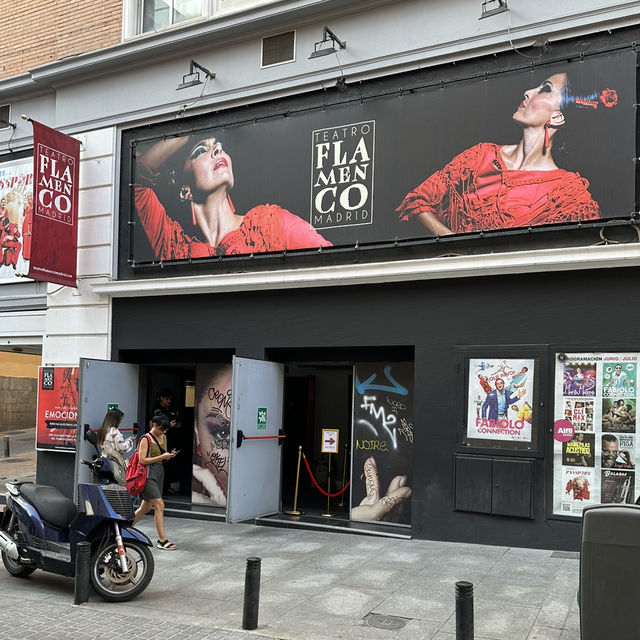 Live flamenco show