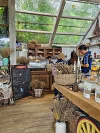 The Scenery Vintage Farm