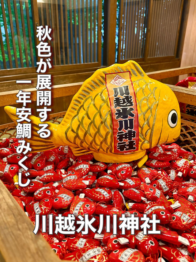 【埼玉県】秋色が展開する一年安鯛みくじ