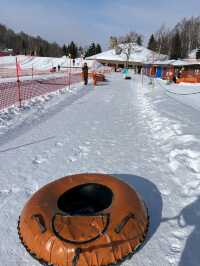 「國營瀧野鈴蘭丘陵公園：冬季雪地樂趣，適合全家」