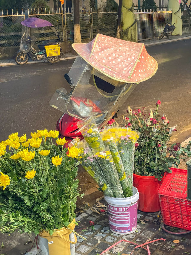 사파 망고 1kg 2,000원에 먹을 수 있는 과일가게