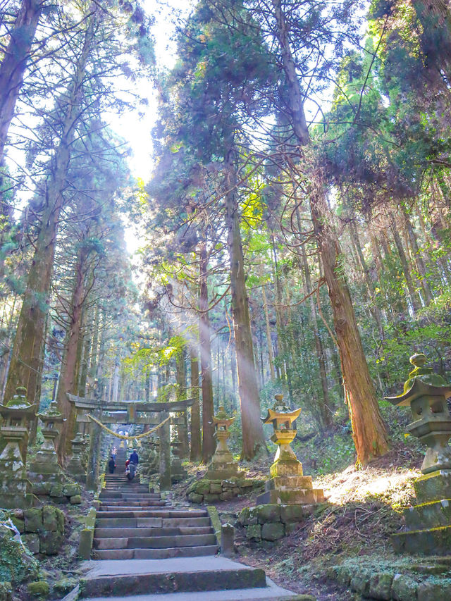 【熊本】⛩️ 阿蘇の大自然に佇む、神秘的な光が降り注ぐ神社 ⛩️