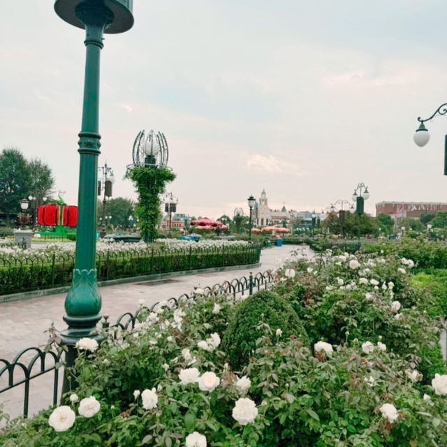Disneyland shanghai