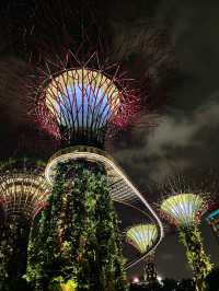 Garden by the bay 📍Singapore 