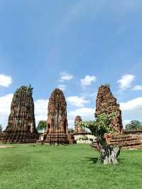 วัดมหาธาตุ |พระนครศรีอยุธยา