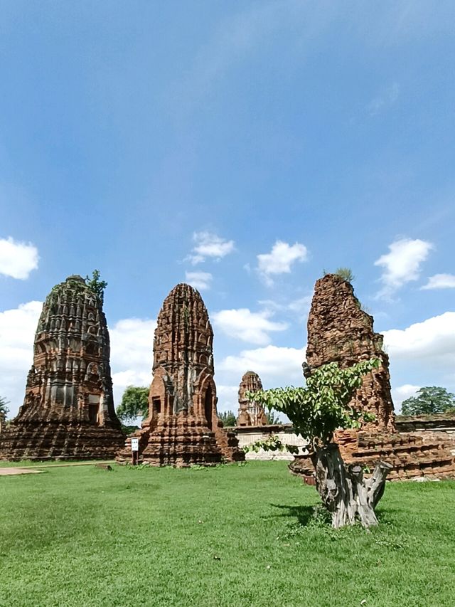 วัดมหาธาตุ |พระนครศรีอยุธยา