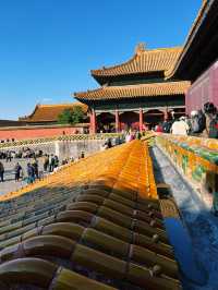 Forbidden City's beauty in autumn