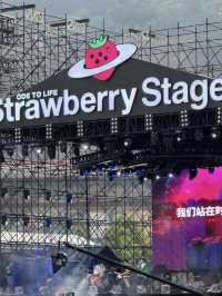 樂響草地——上海草莓音樂節的青春狂歡