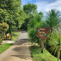 Tarzan Seaside Phuket จุดชมพระอาทิตย์ตก