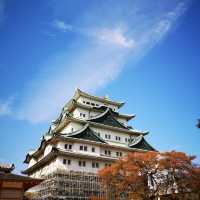 Timeless Beauty and Golden Charm: Exploring Nagoya Castle!