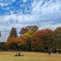 舍人公園：秋色如畫🍂🌳