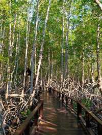 ไปเดินชมธรรมชาติสวยๆที่ วนอุทยานปราณบุรี