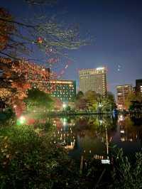 北海道　札幌観光　中島公園2024 紅葉の中島公園ライトアップが最高だった！