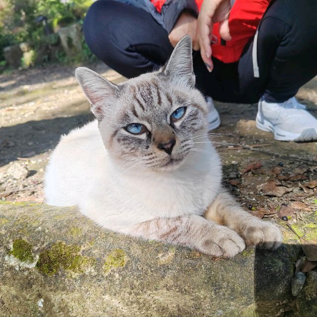 值得一遊的景點
